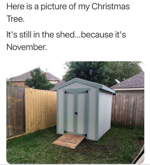 xmas tree.jpg