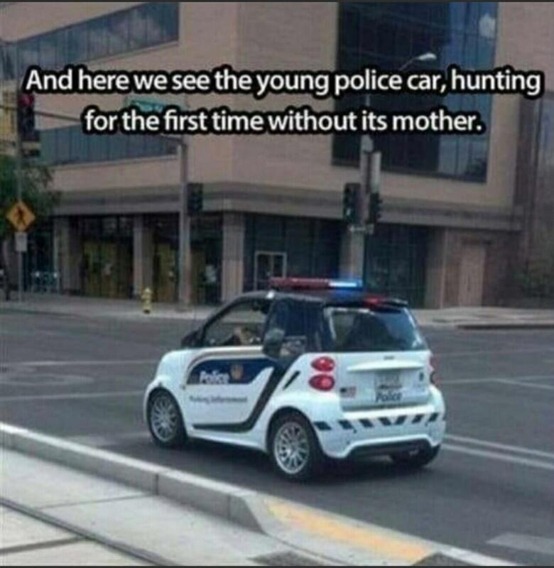 youngpolicecar.jpg