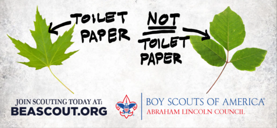 ToiletPaper.png