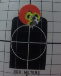 keltecp17shotgroup7yards.jpg