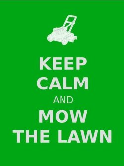 c41a60c4d45584ad170eec2ee52d8487--mowing-the-lawn-humor-mow-the-lawn(1).jpg