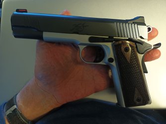 kimber.jpg