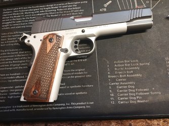 Kimber resized.jpg