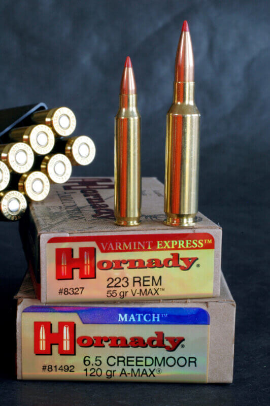 5.56 vs. .223: Which Can I Shoot? - The Armory Life