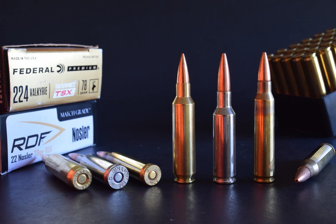 .22 caliber hunting rounds for AR rifles