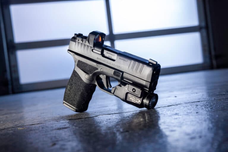 First Look: The Hellcat Pro 9mm - The Armory Life