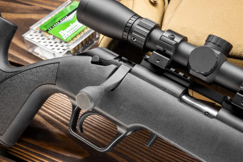 Springfield Model 2020 Rimfire Review - The Armory Life