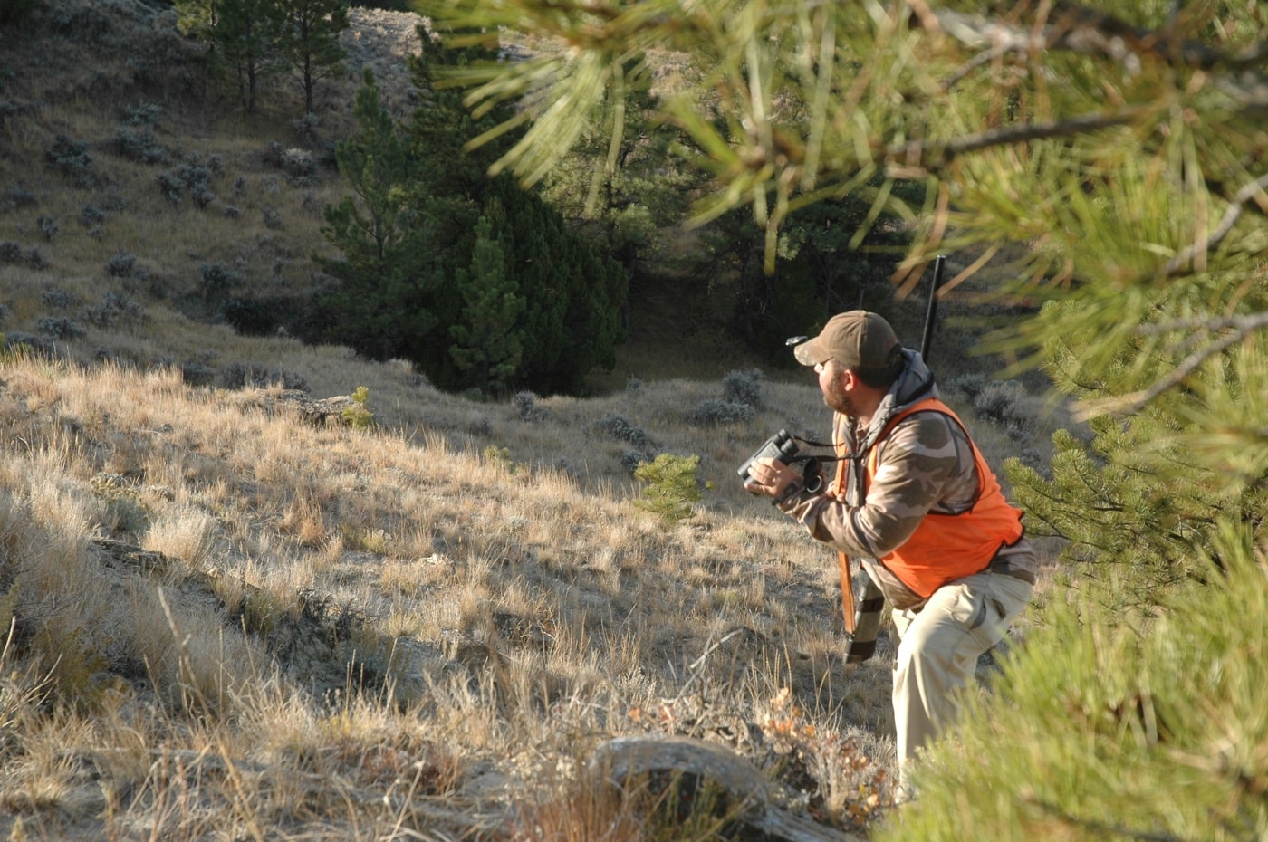 using binoculars in a deer hunt