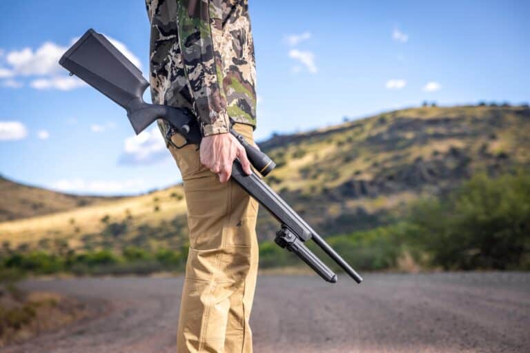 Best Rimfire Rifle for the Money? - The Armory Life