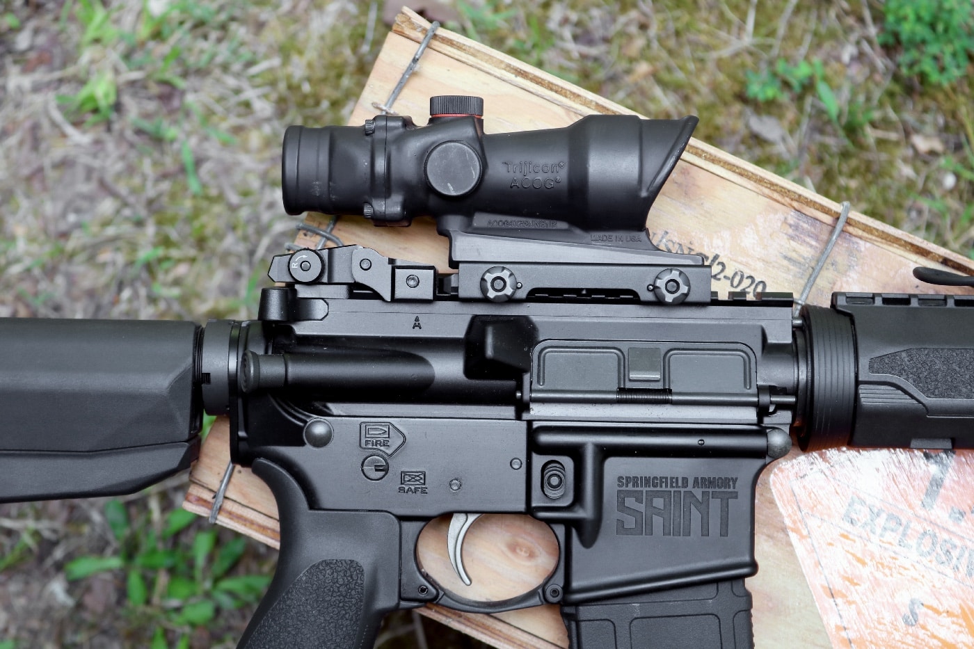 Trijicon ACOG TA01 mounted to authors Springfield Armory SAINT AR-15 rifle