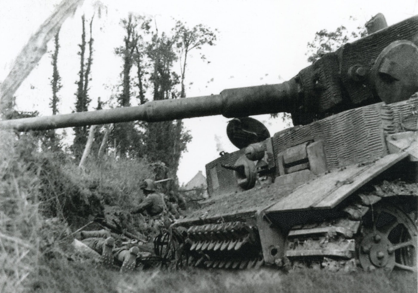 German Tiger tank in Normandy hedgerow