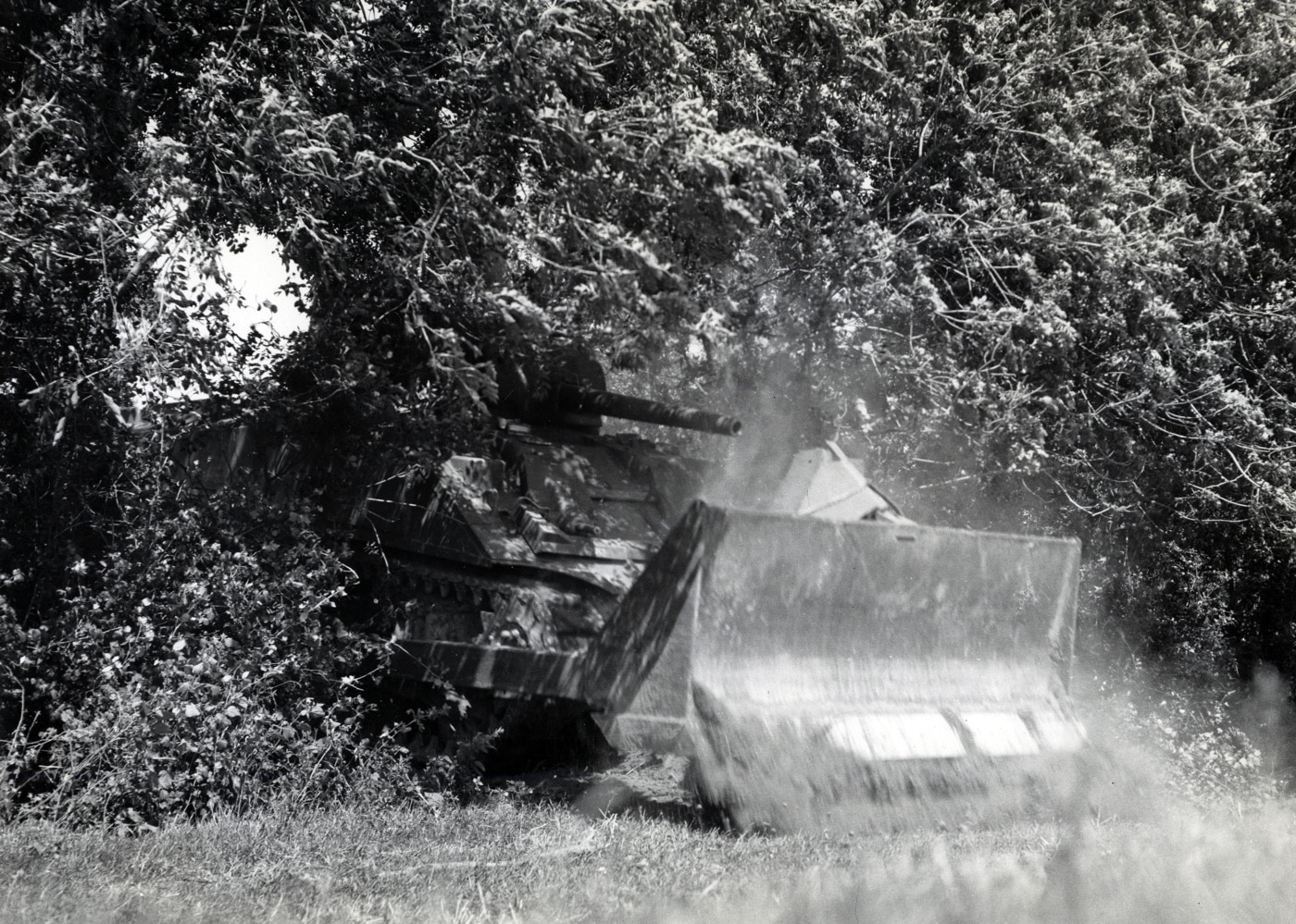 M4 Sherman tank bulldozer cuts through a hedgerow in Normandy