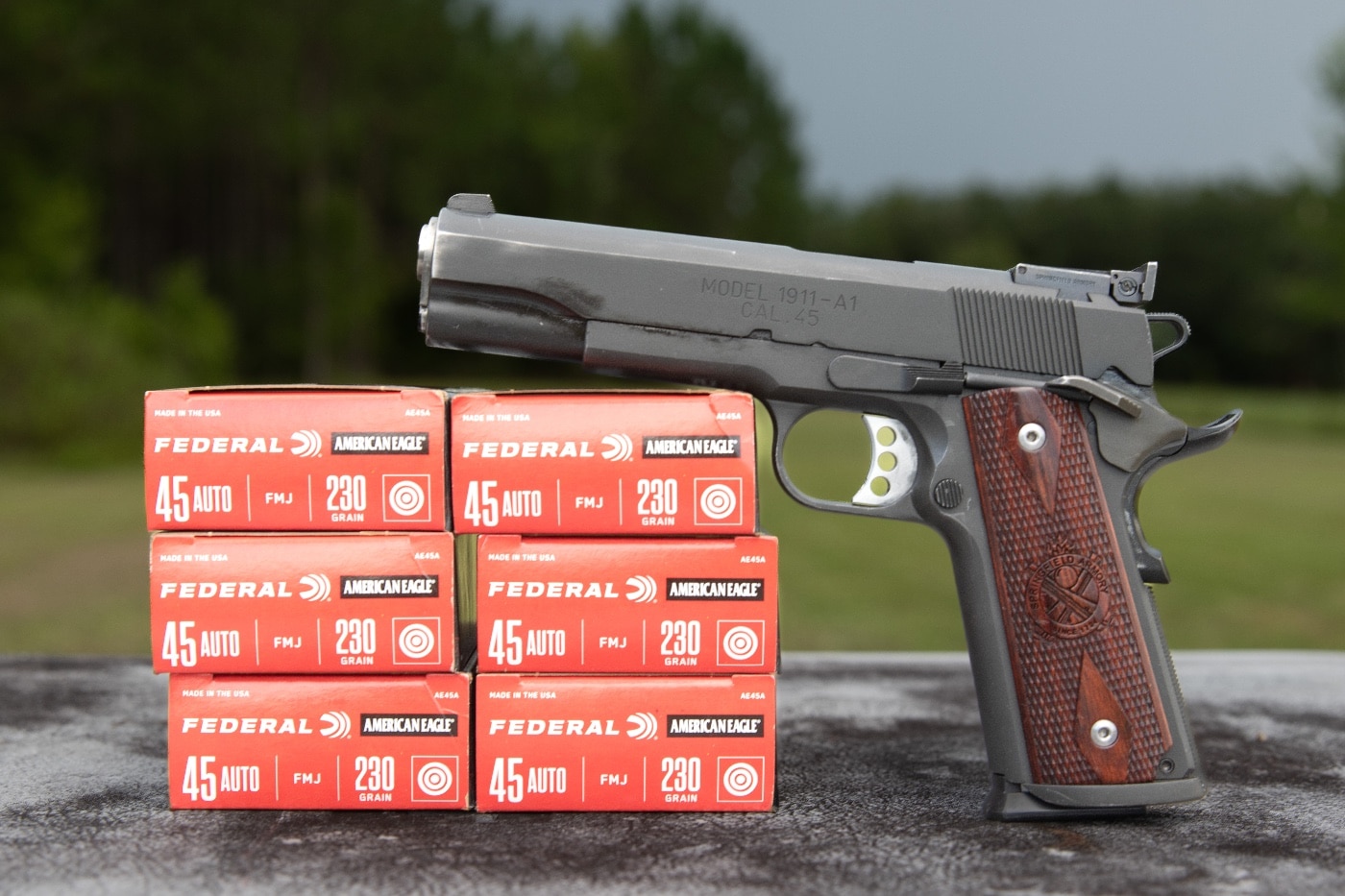 Massad Ayoob Springfield Armory M1911 Federal Ammunition 45 ACP cartridge