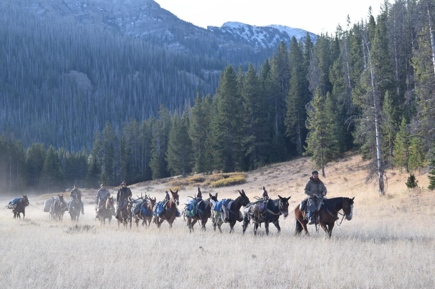 Alps Outdoors Waterproof Rifle Case tested in the field horseback mules