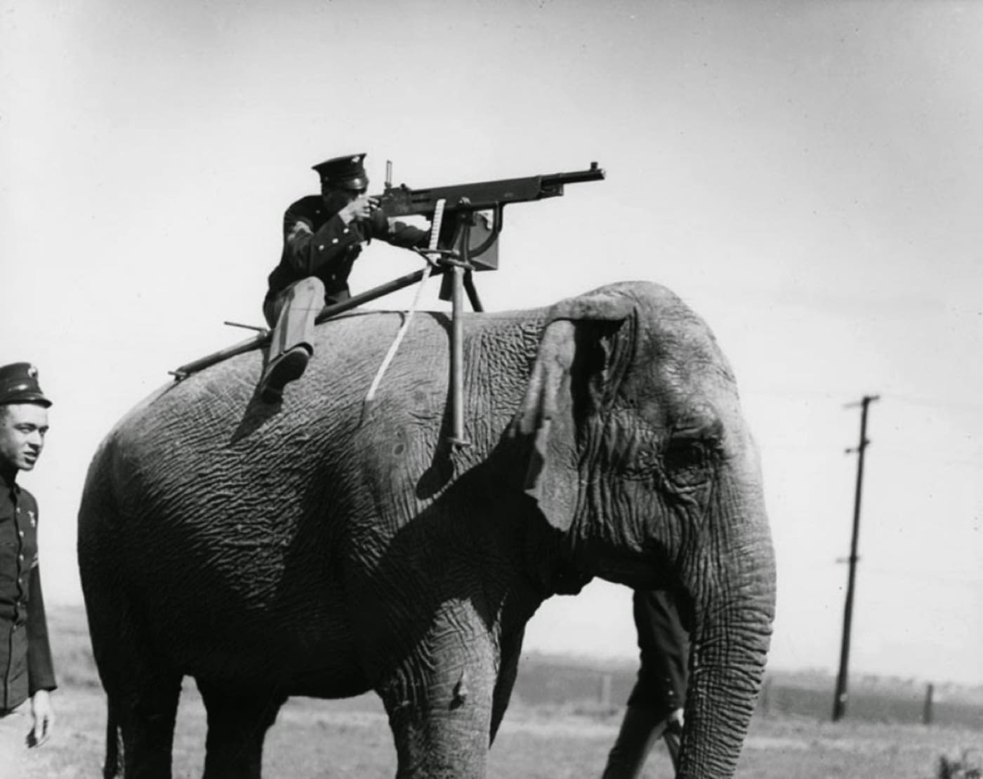 United States Army soldier firing M1895 Colt–Browning machine gun on elephant back