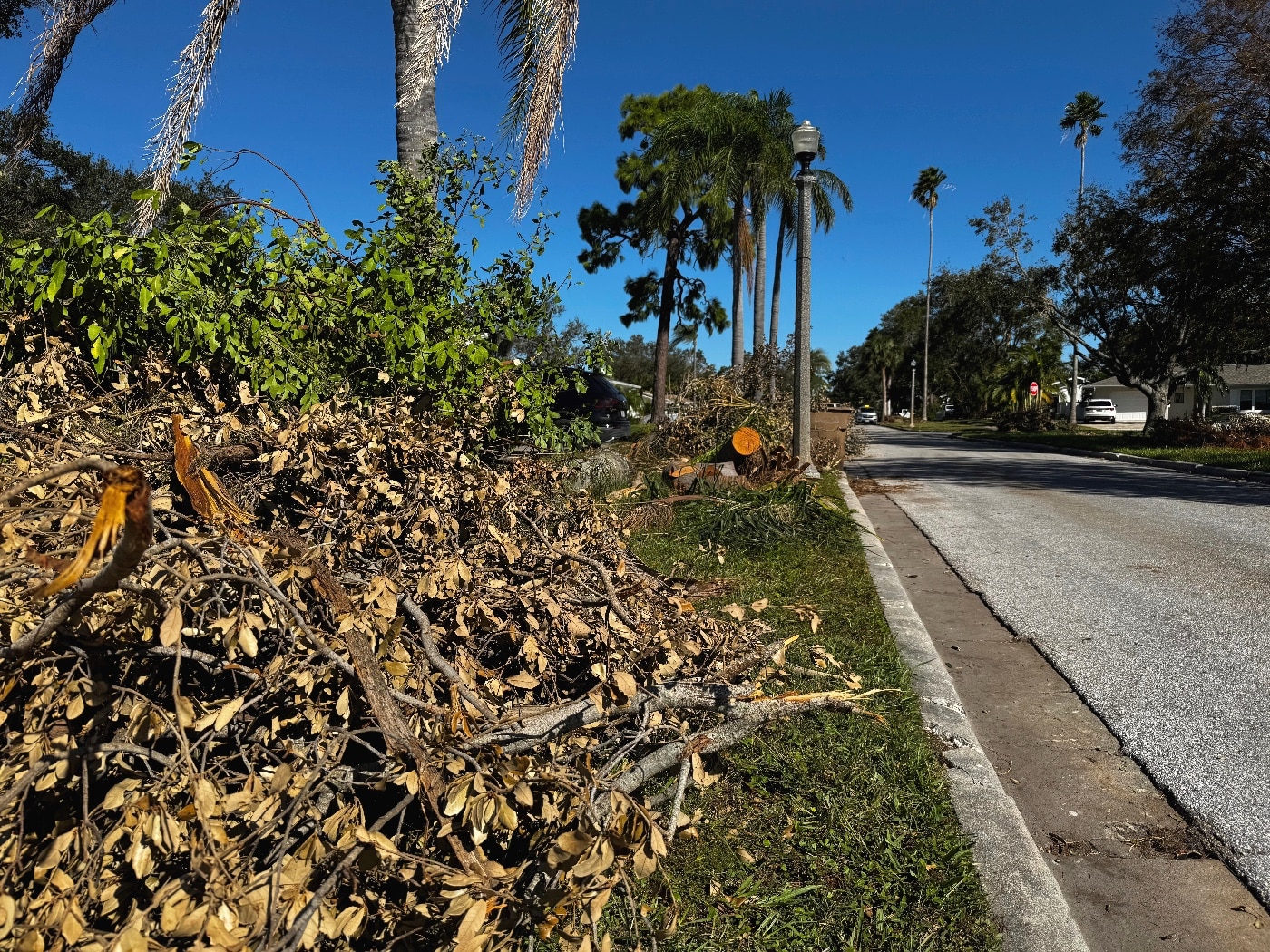 Hurricane Milton debris clean up with SOG Camp Axe