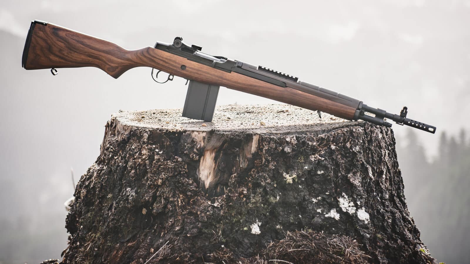 Springfield Armory M1A Scout Squad Review