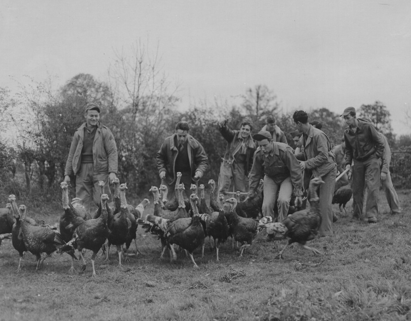 U.S. soldiers chase turkeys for Thanksgiving dinner in England 1943