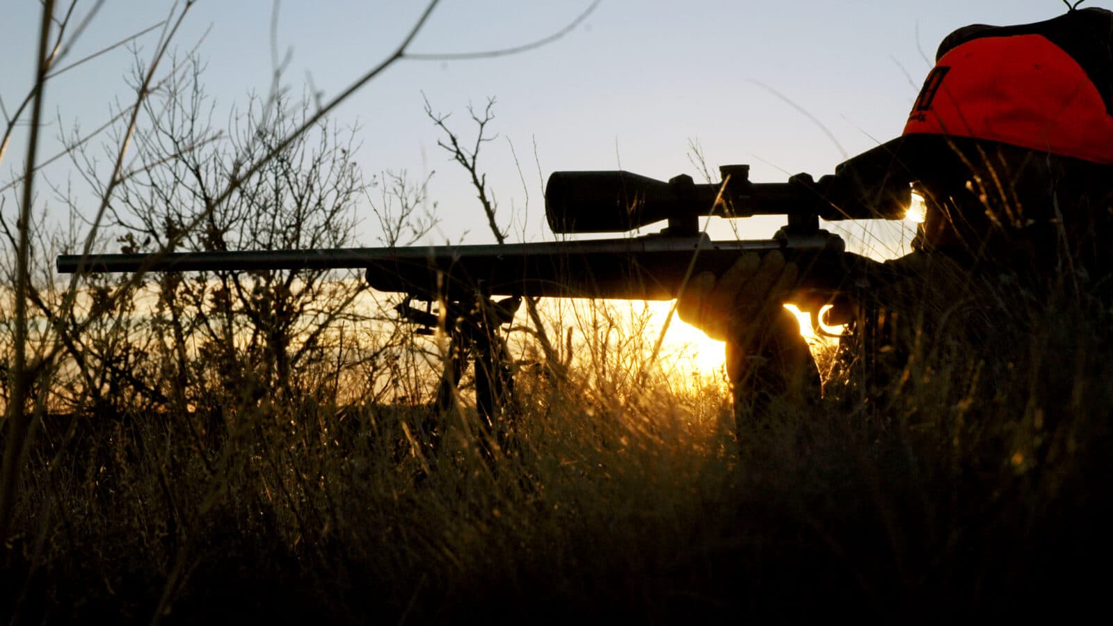 Are You Using the Wrong Rifle Scope?