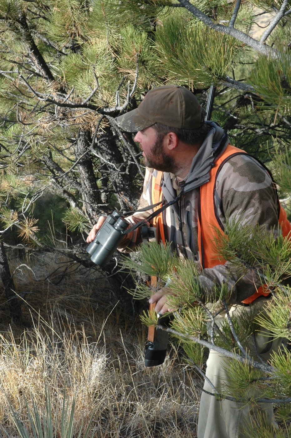 glassing grasslands for whitetail deer