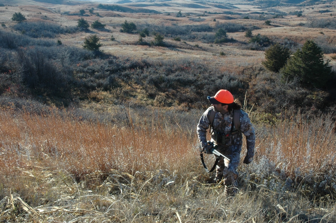 hunting for whitetail deer in the grassland prairie