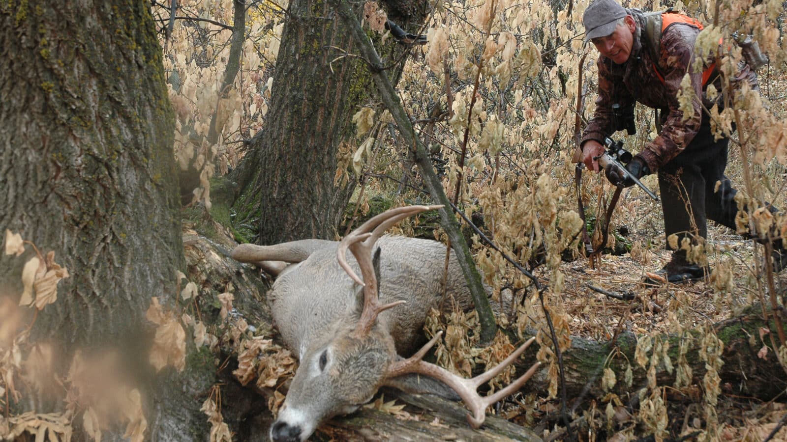 Hunting Prairie Whitetail Deer — Right Under Your Nose