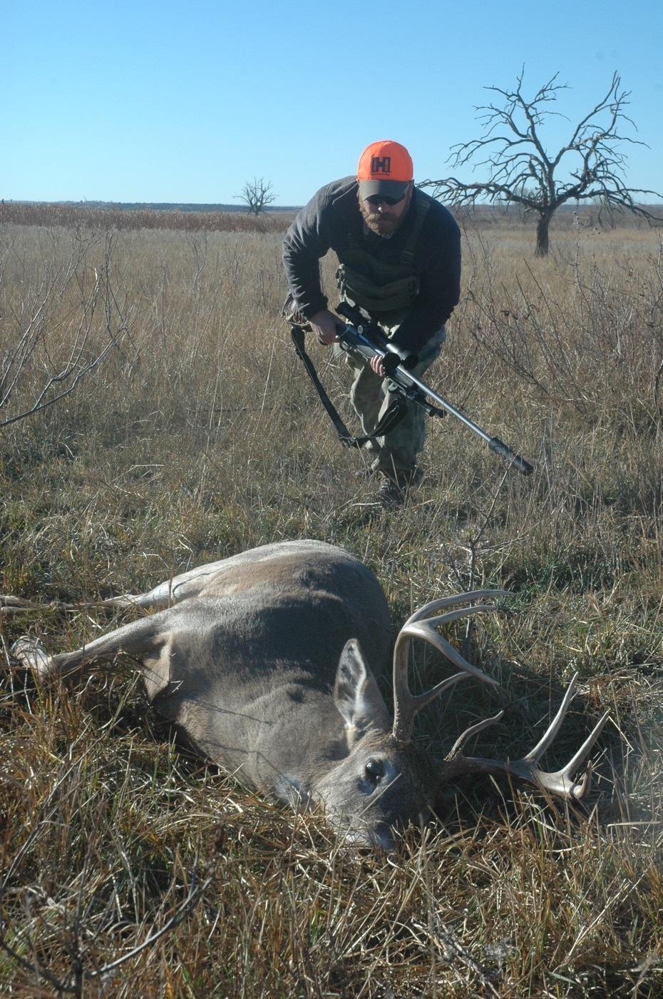 hunting white tail deer on the grasslands