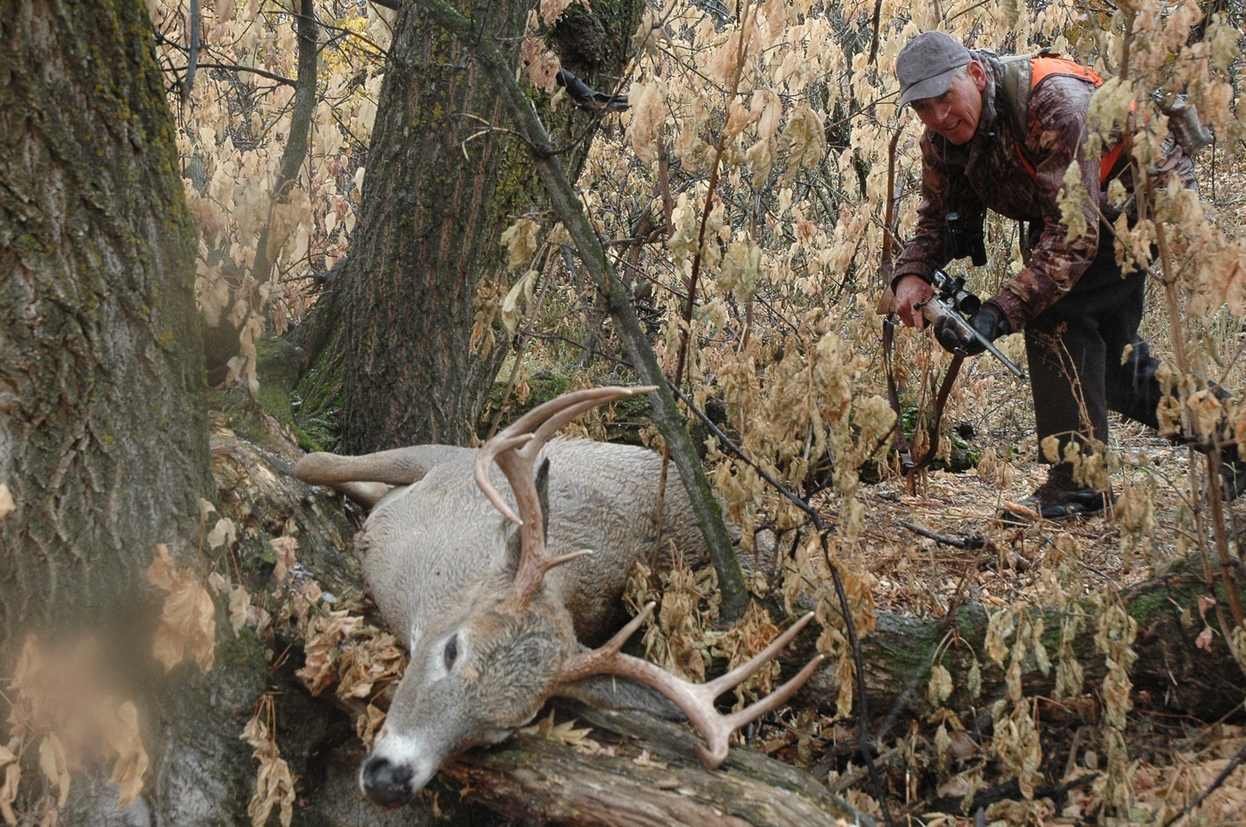 hunting whitetail deer on the prairie