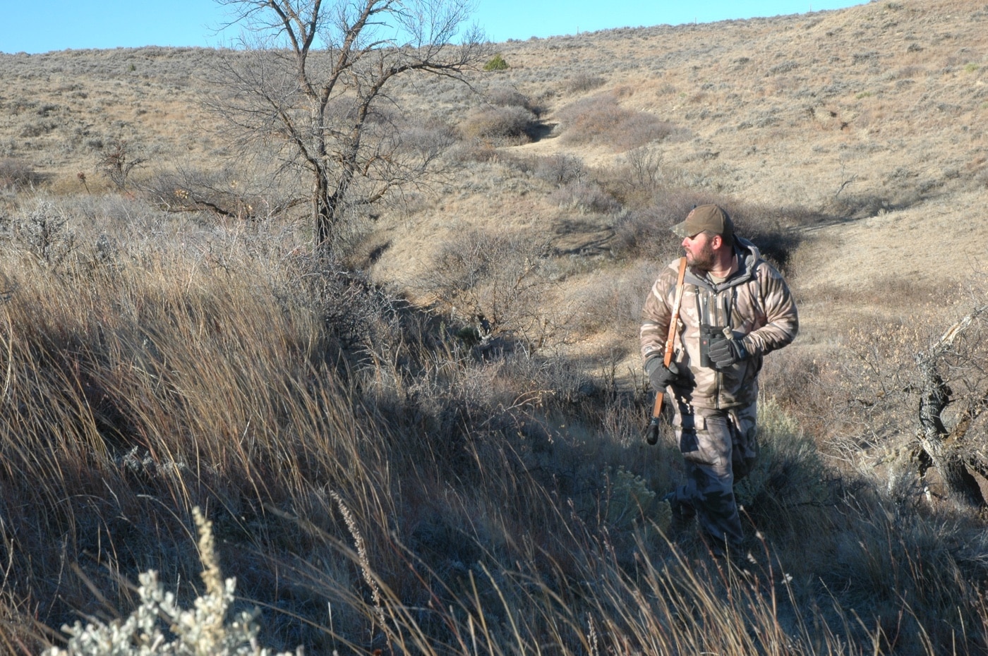 whitetail deer hunt on grassland prairie