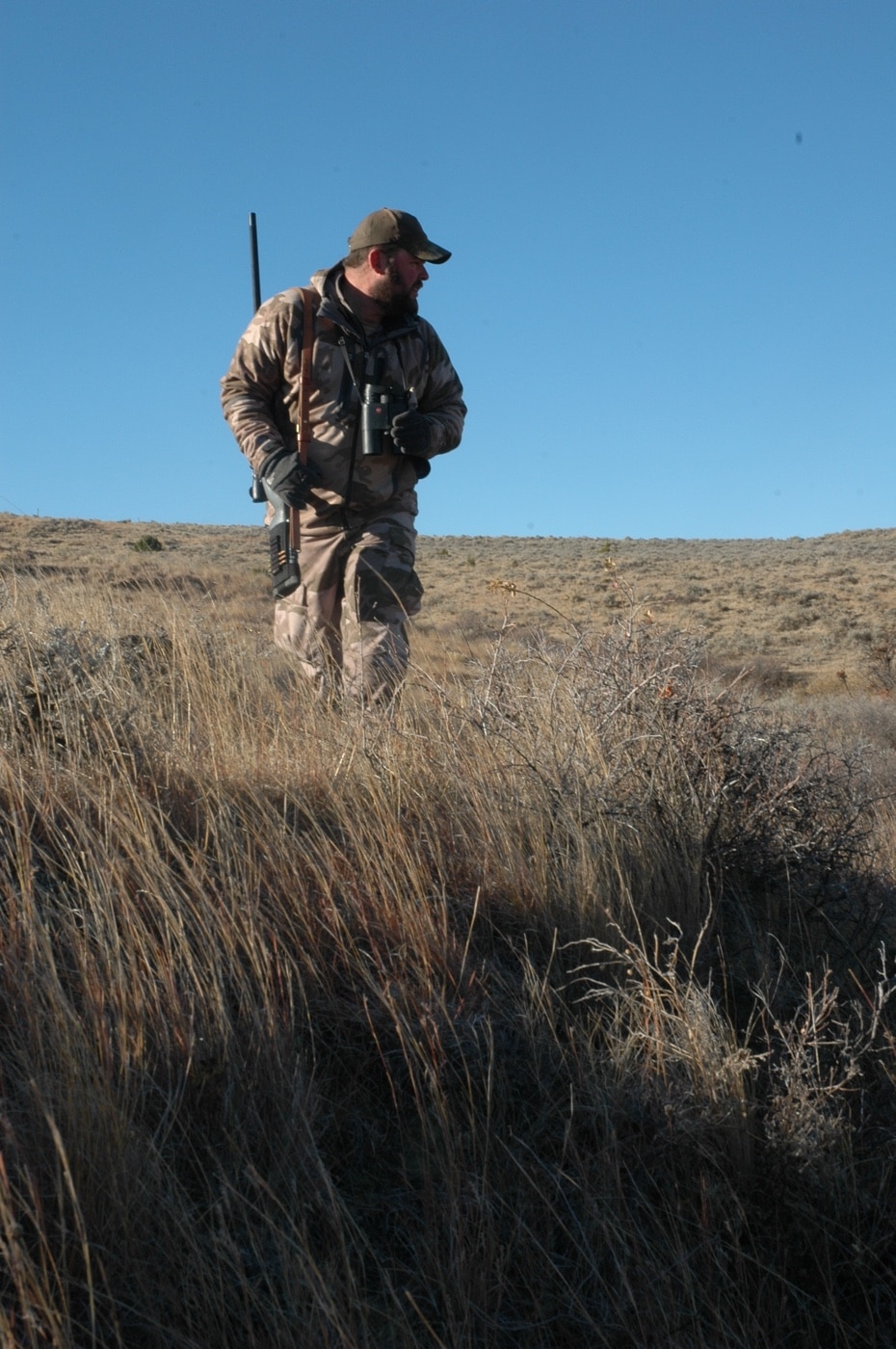 whitetail deer hunting in grasslands