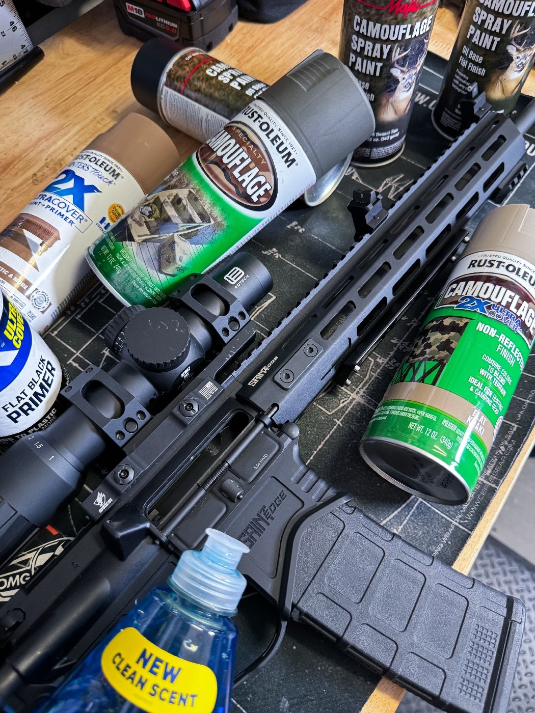 clean your AR-15 prior to painting