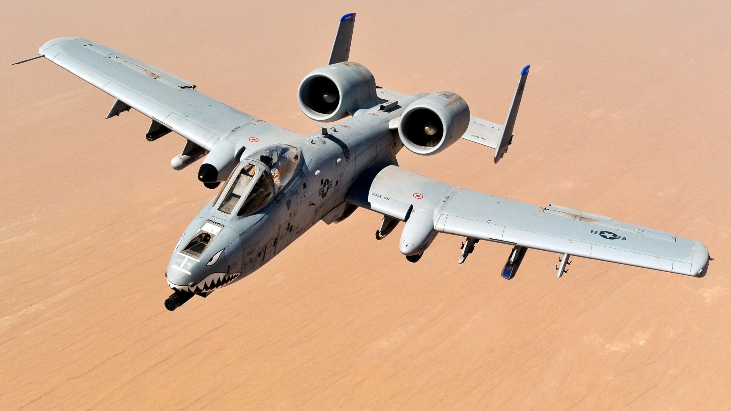 Fairchild Republic A-10 Thunderbolt II — Gun with a Plane Around It