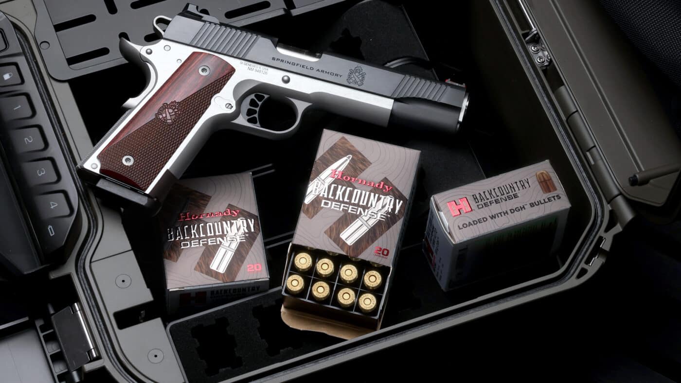 Hornady Backcountry Defense review