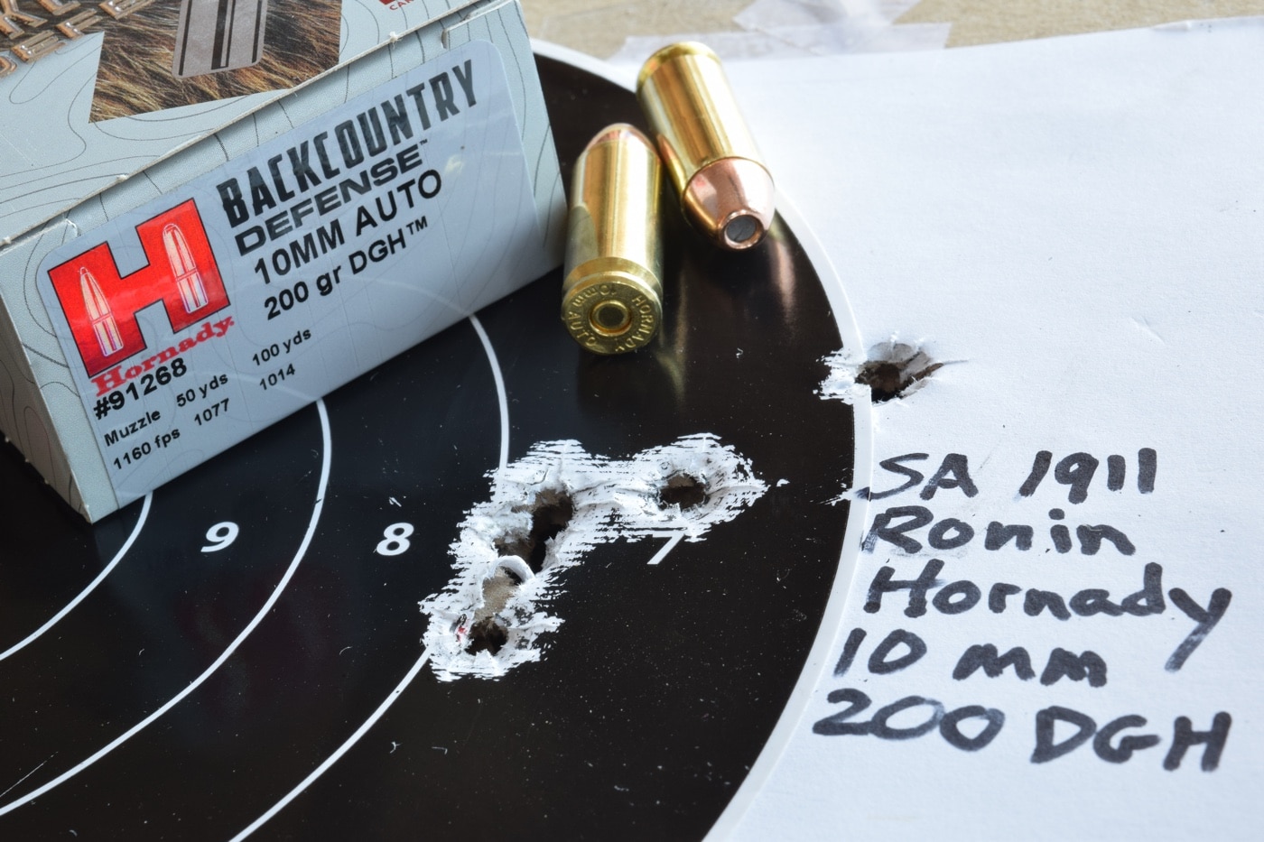 accuracy testing the Hornady Backcountry Defense ammo