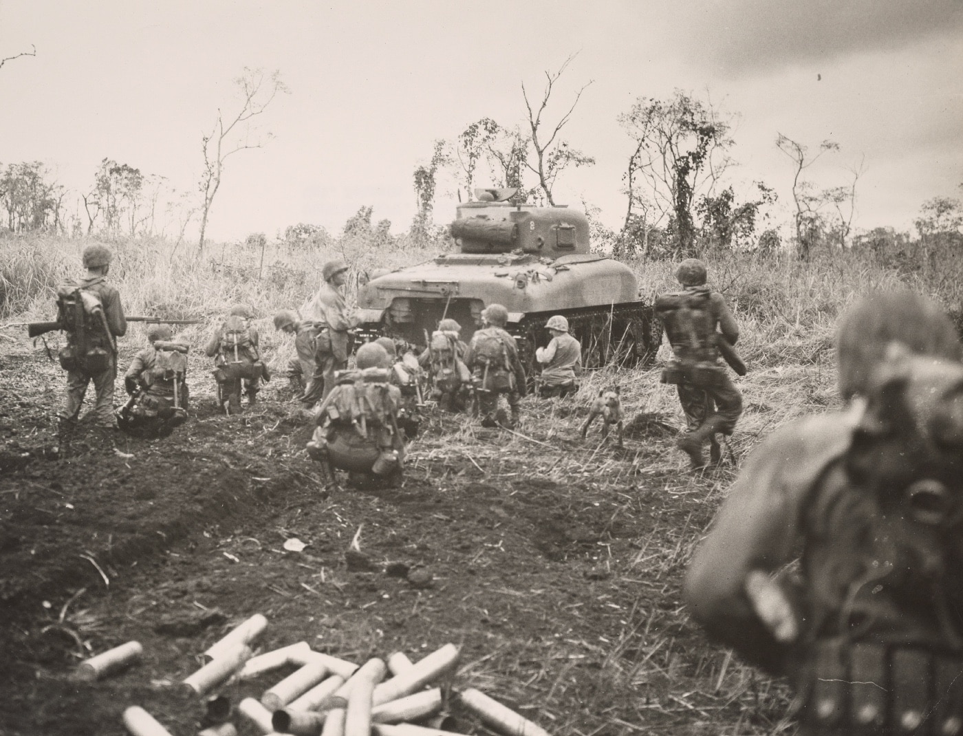 combined arms action on Cape Gloucester M4 Sherman tank and Marine riflemen