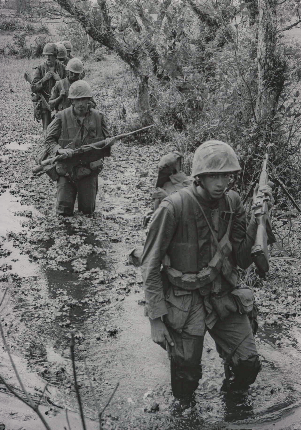 US Marines carry M14 rifles through swamp in Vietnam War