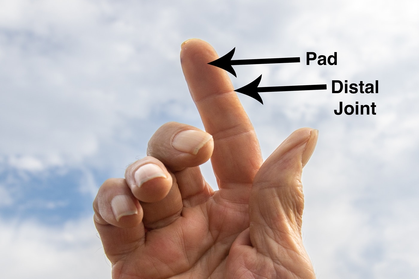 define trigger pad and distal joint